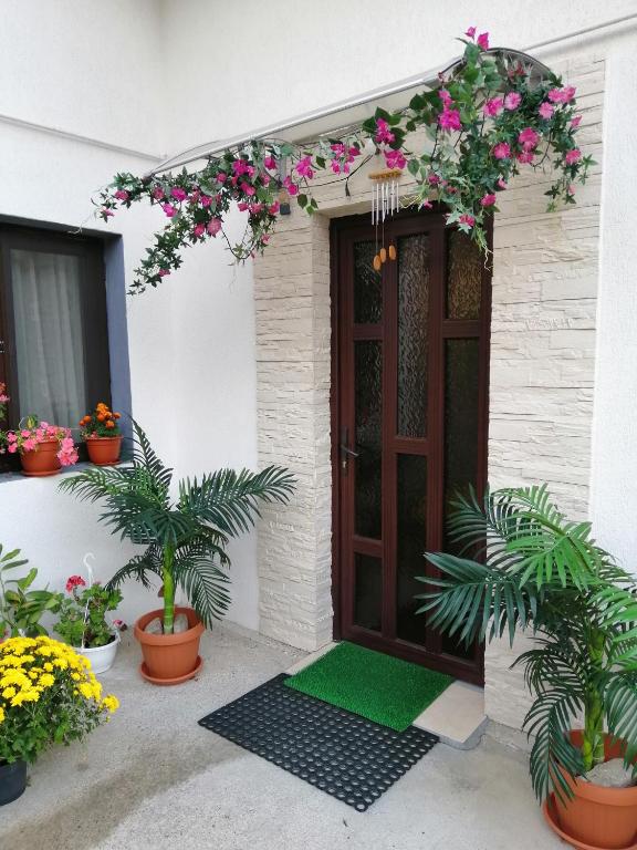 Vila Darian room 1