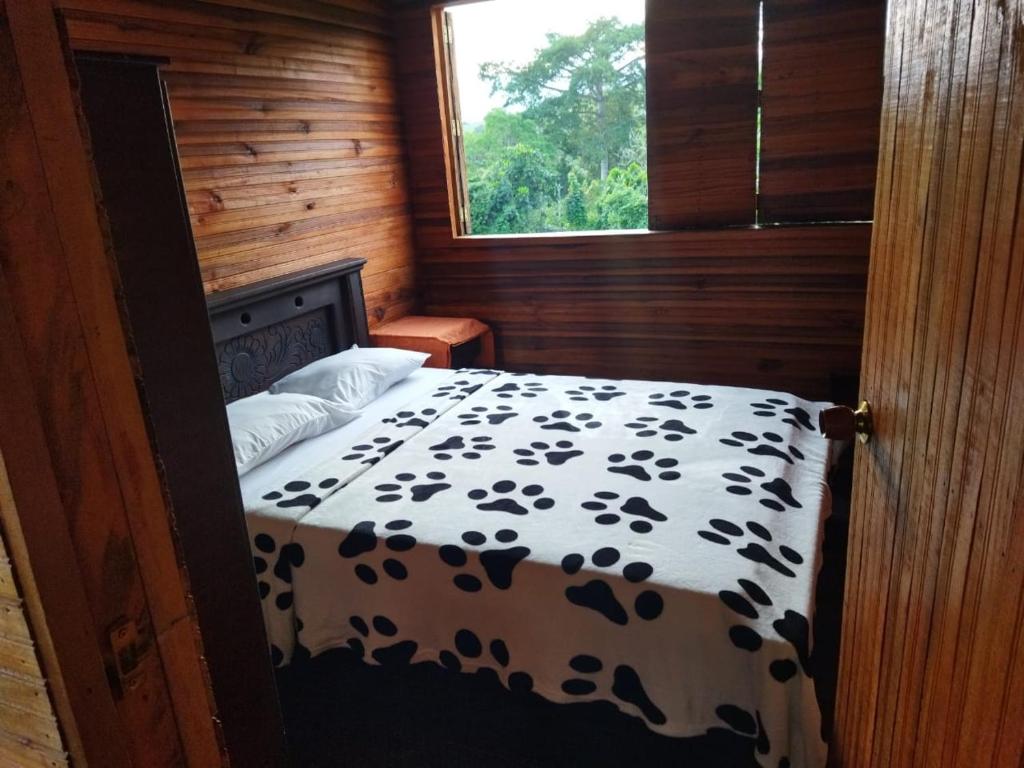 Villa Esperanza Campestre room 1