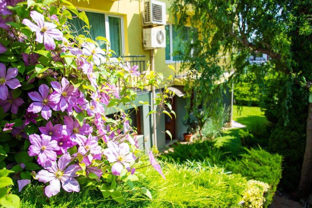 Вила Костадинов room 6