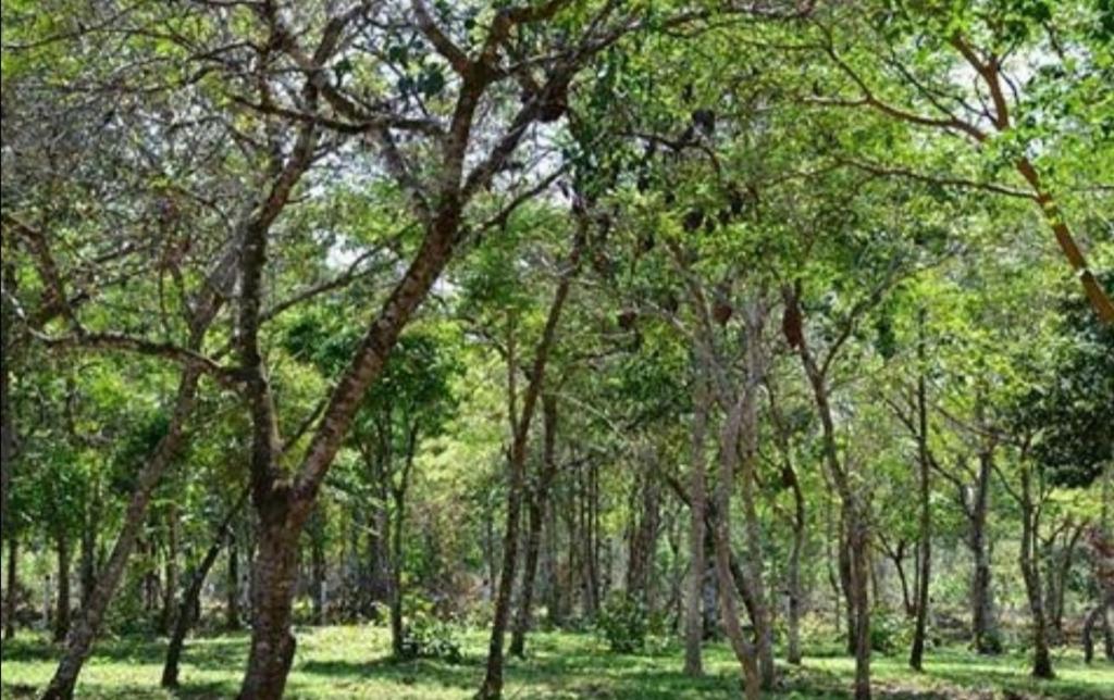VILLAS DE SAN JOAQUIN room 3