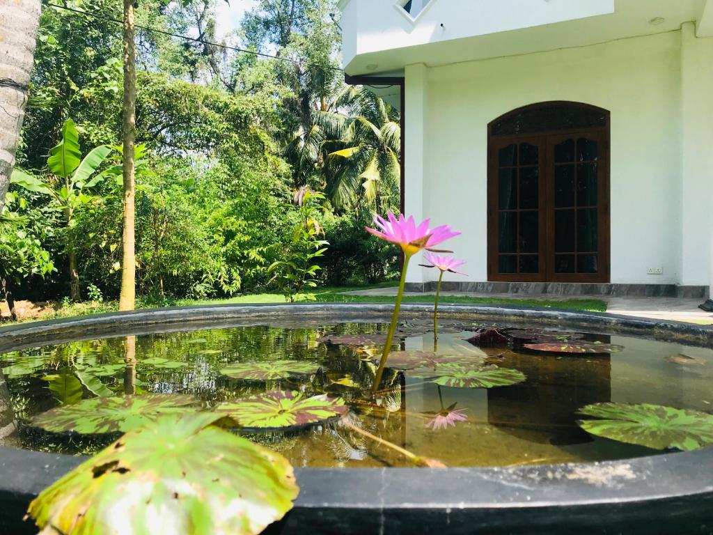 Villa Sureka room 4