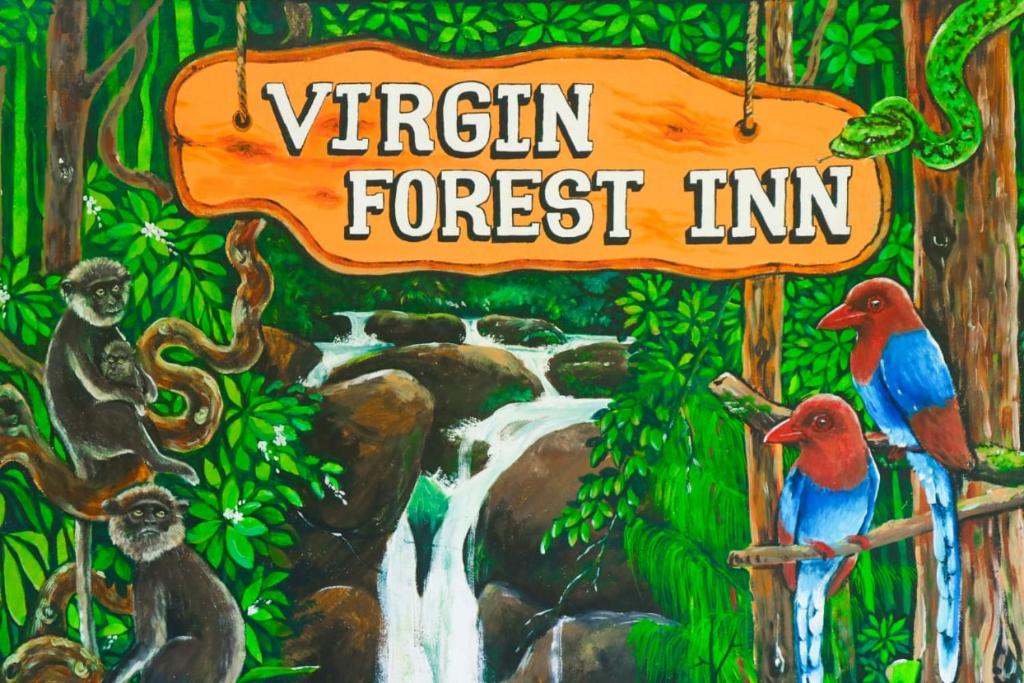 Virgin Forest Inn room 6