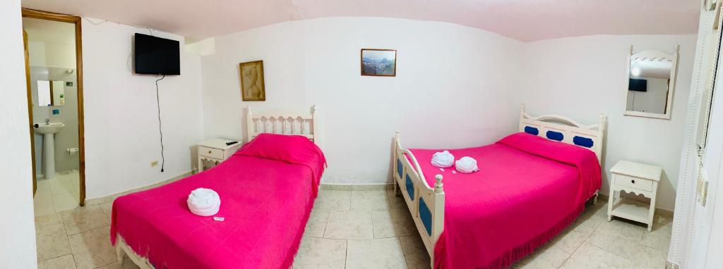 Vivienda Turística Zócalos room 5