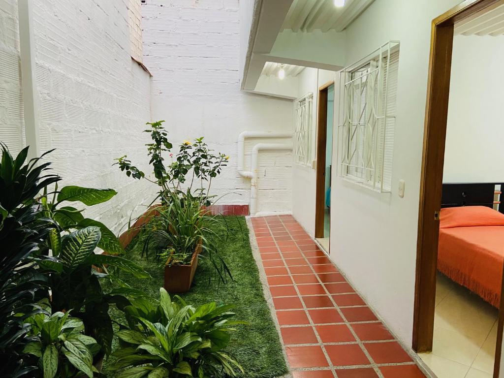 Vivienda Turística Zócalos room 6