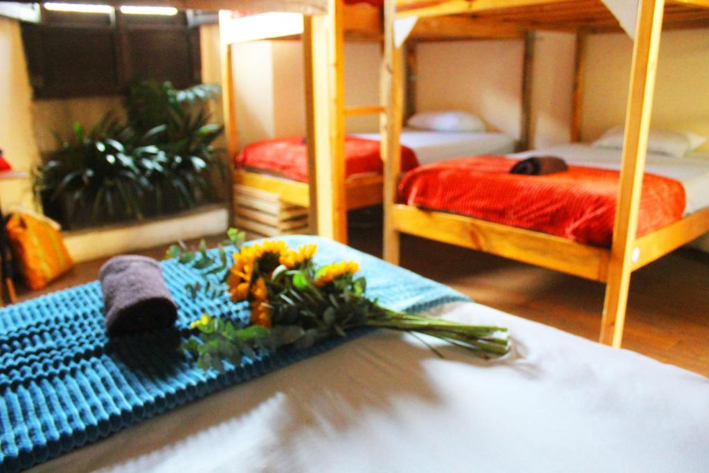 Volko Hostal room 2