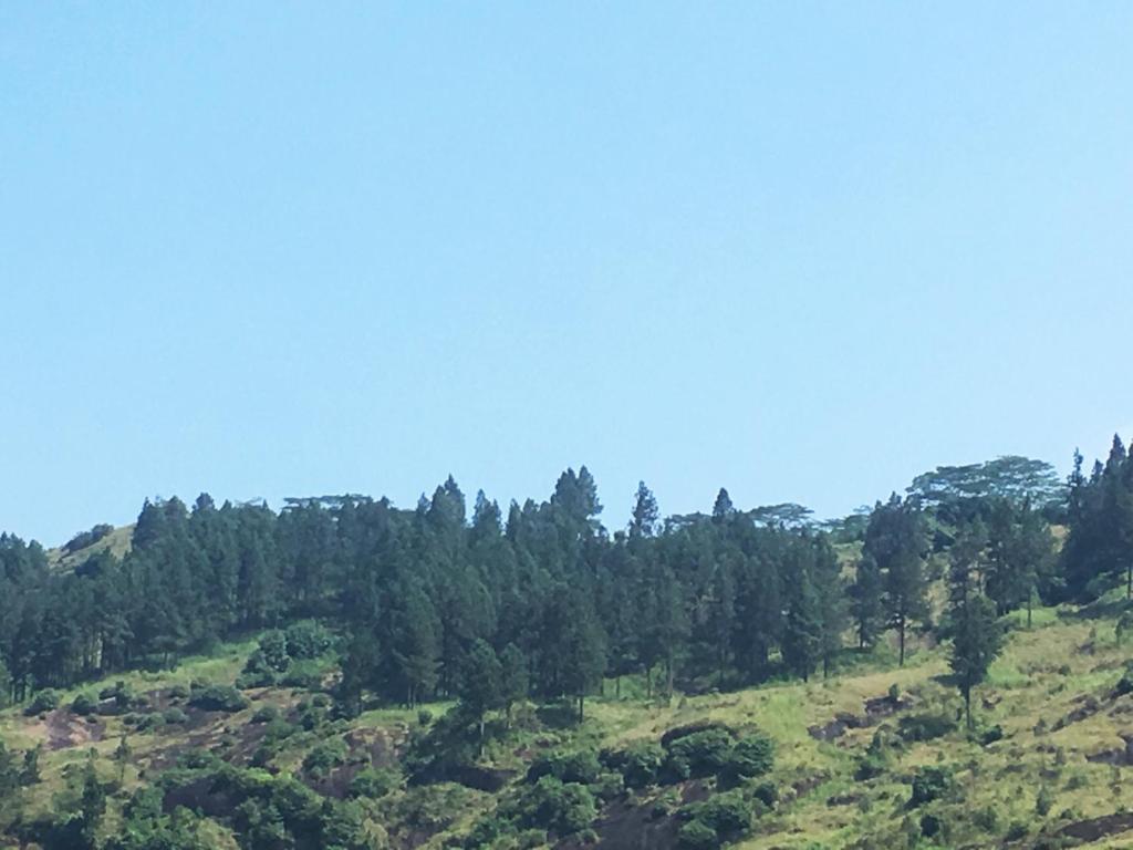 Watawala Estate Bungalow room 4