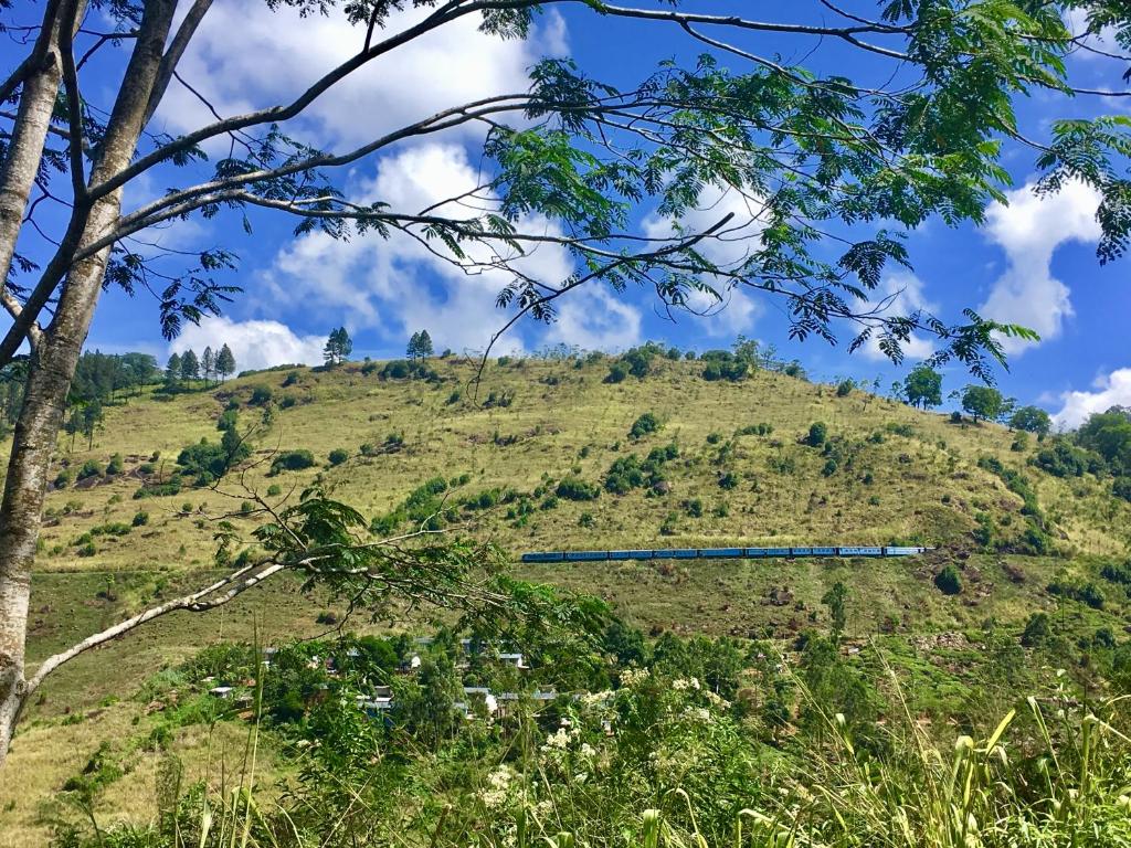 Watawala Estate Bungalow room 6