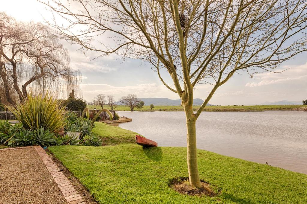 Waterside on Le Bonheur room 2