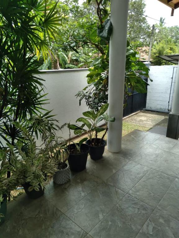 White Walkers Villa room 3