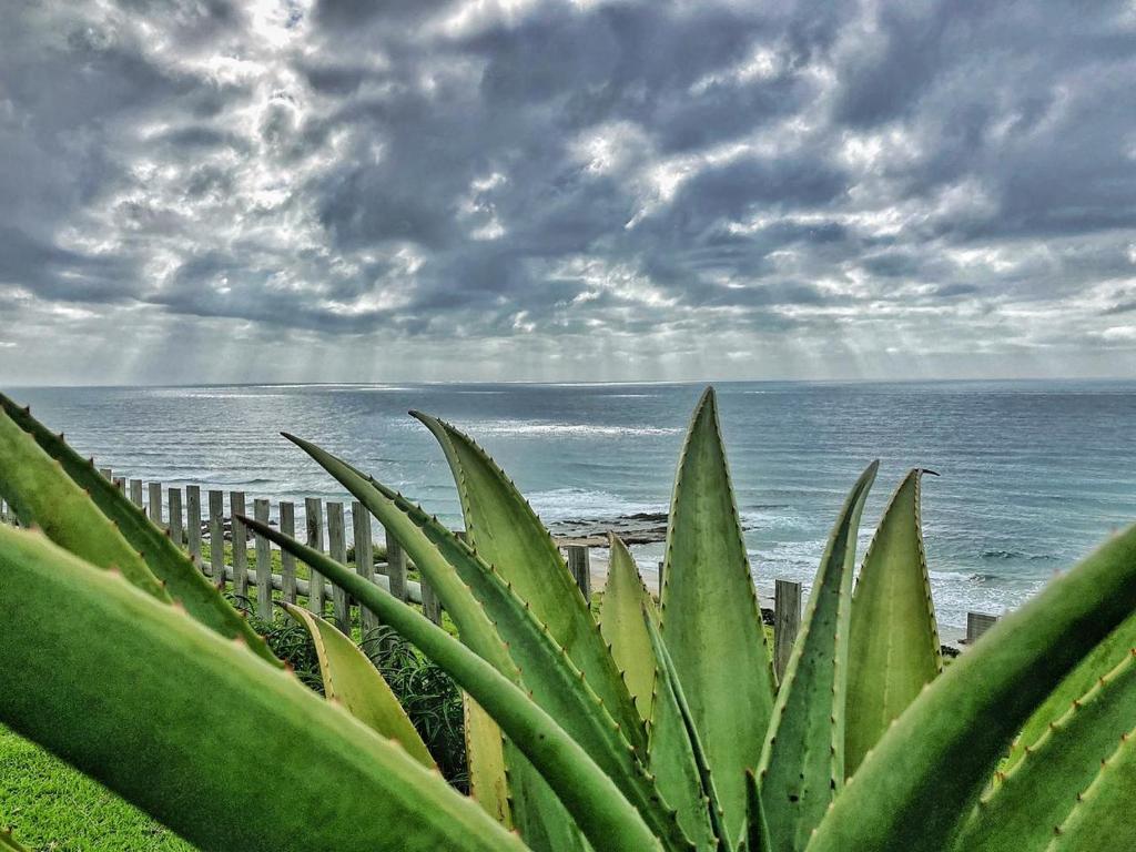 Wild Coast Secrets room 5