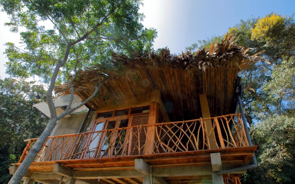 Winsome & The Tree House room 1