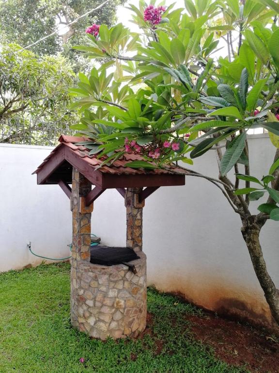 Wishing Well Apartment room 3