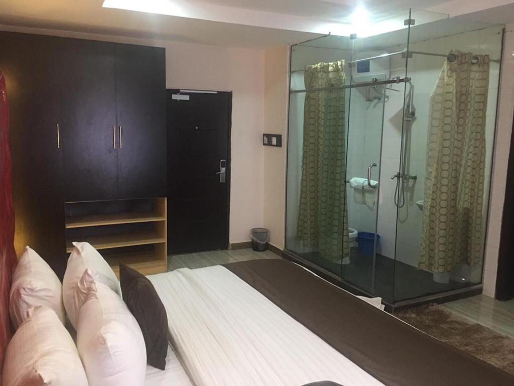 Wizy Hyatt Hotel room 2