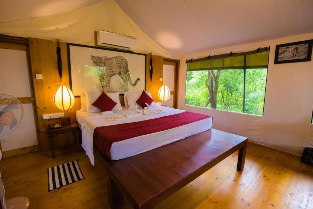 Yala Leopard Mobile Camp room 2