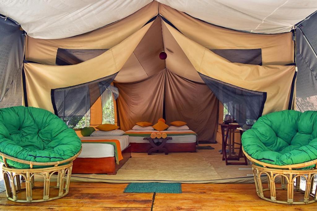 Yala Leopard Mobile Camp room 3