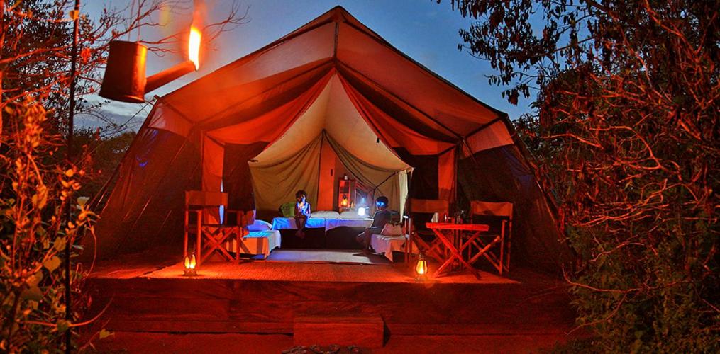 Yala Leopard Mobile Camp room 6
