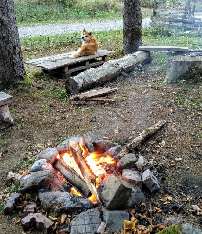 Яворова лъка room 2