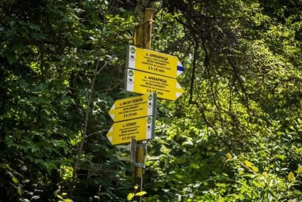 Яворова лъка room 4