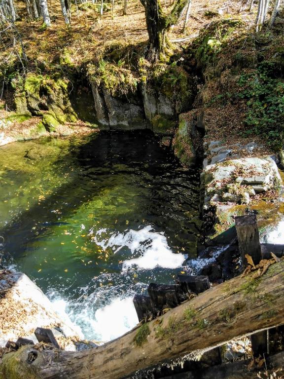 Яворова лъка room 5