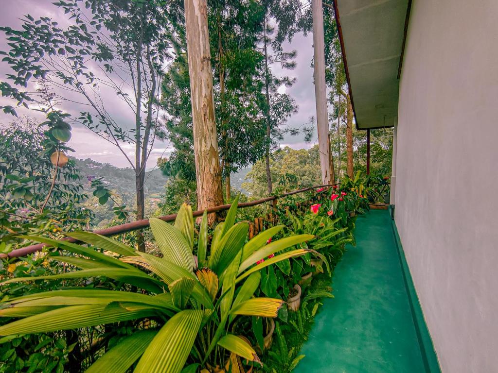 Yolo Lovely Cottage room 3