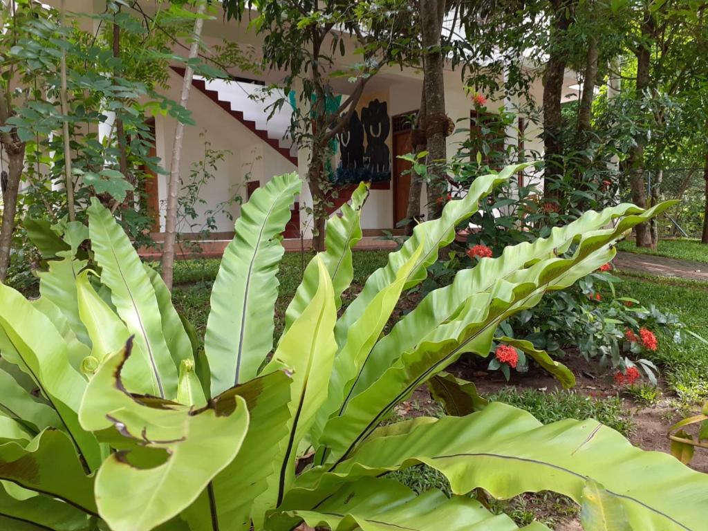 Yonara Green Rest room 3