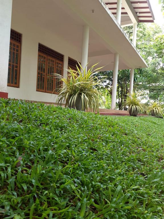 Yonara Green Rest room 4