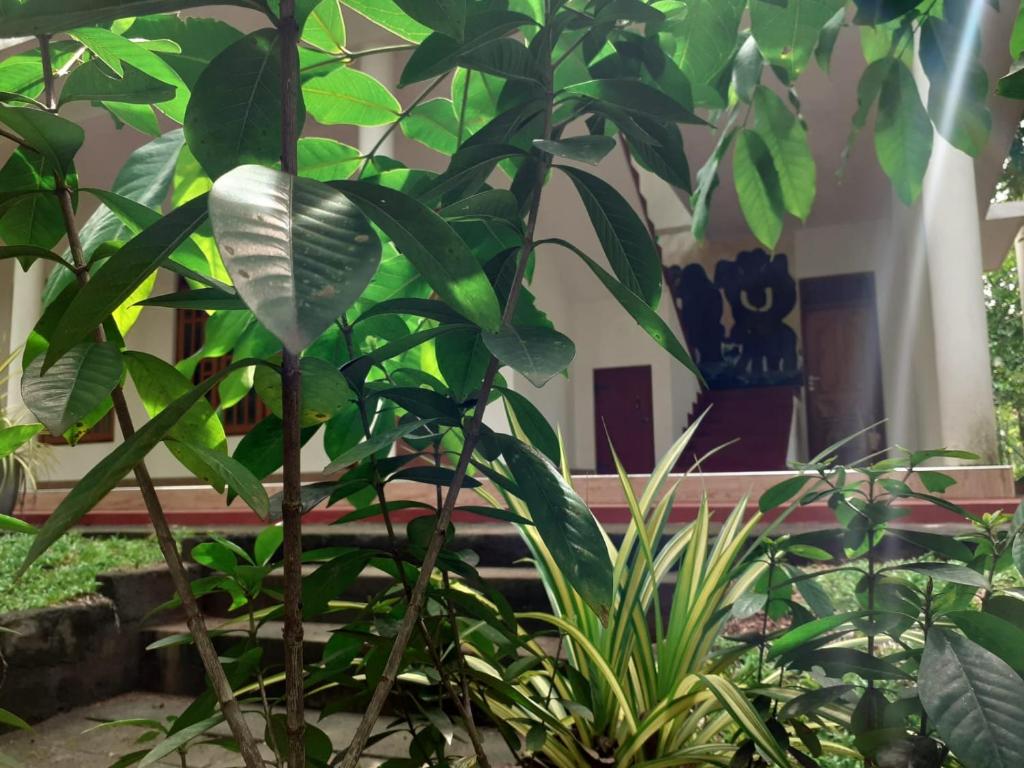 Yonara Green Rest room 5