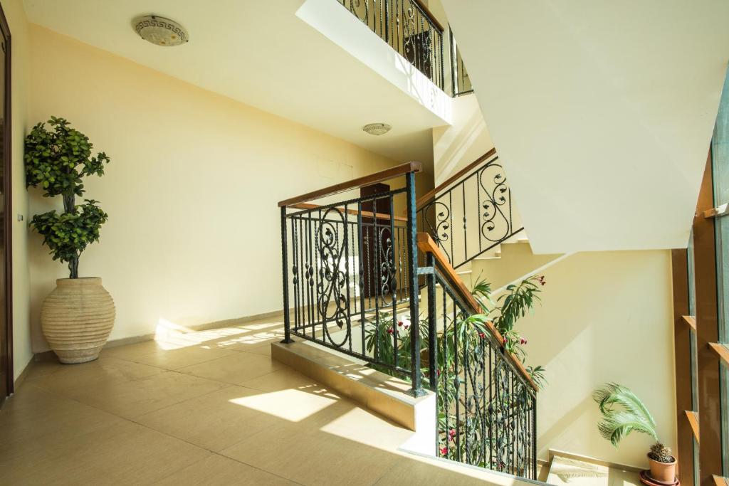 Zafi Hotel - Апартаменти Зафи room 3