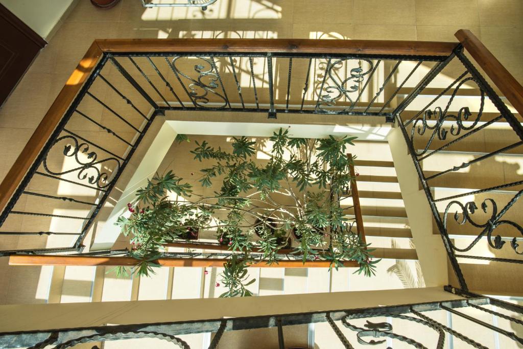 Zafi Hotel - Апартаменти Зафи room 5