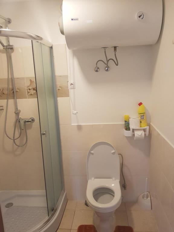 Zvaigžņu māja room 2
